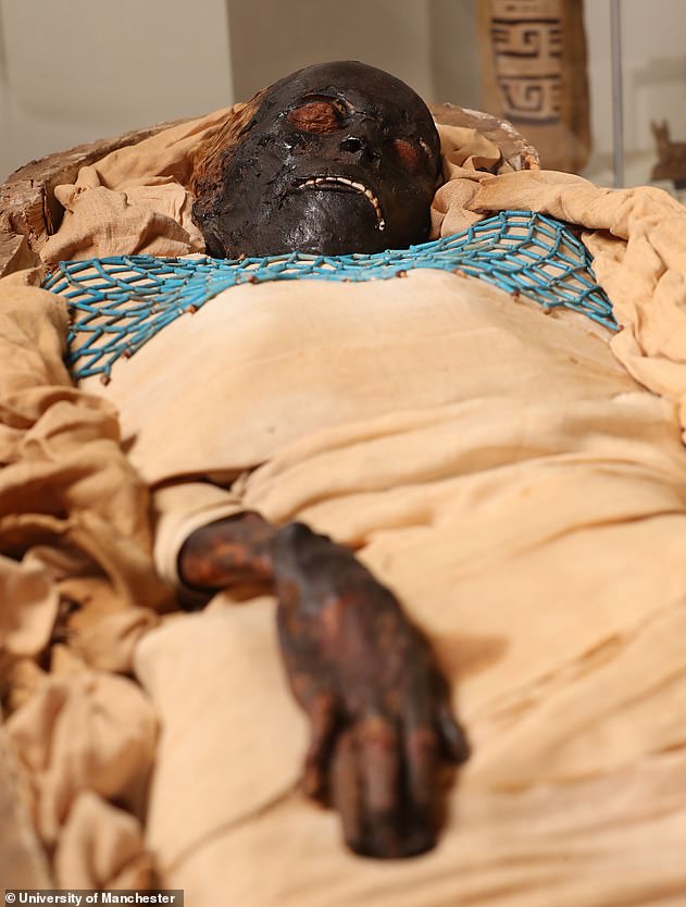 Famous female mummy died after being stabbed in the back with an AXE |  Daily Mail Online