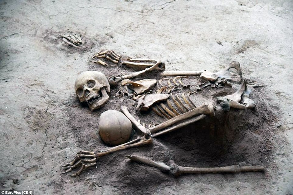 Clinging on: Another pair of skeletons found at the Chinese archaeological site also appear to be embracing each other