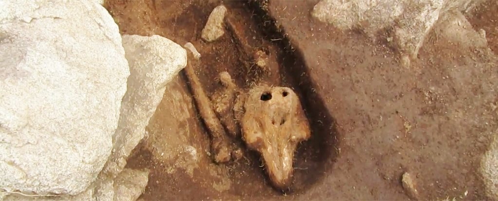 Archaeologists Find Something Truly Bizarre in an Isolated Medieval Graveyard : ScienceAlert