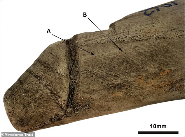 The object was found alongside dozens of shoes and dress accessories, which meant it was initally thought to be a darning tool. However, a new analysis suggests that the life-size object - measuring 6.3 inches long - was actually used as a sexual implement