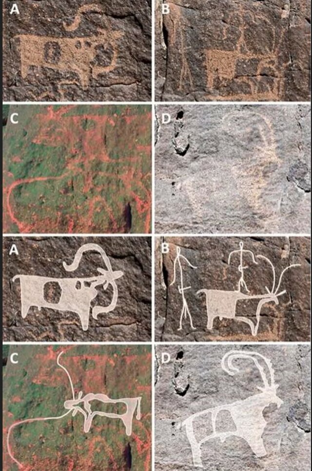 Prehistoric Humans Sheltered in a Saudi Lava Tube for 7,000 Years