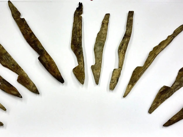 Remarkable Wooden Defensive Spikes Preserved at LEIZA Offer Insights Into Roman Warfare