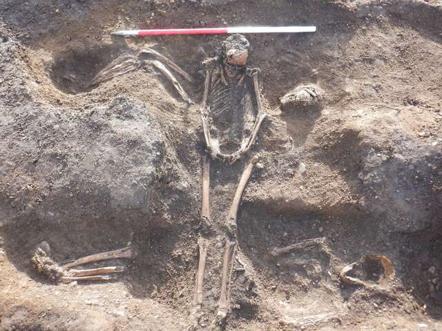 The Bones of One of the Individuals Unearthed at the Medieval Burial Site in Carrickfergus