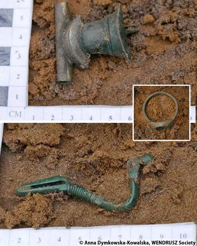 Uncovering Roman-Era Treasures in Poland: A Remarkable Discovery in the Borki Forest
