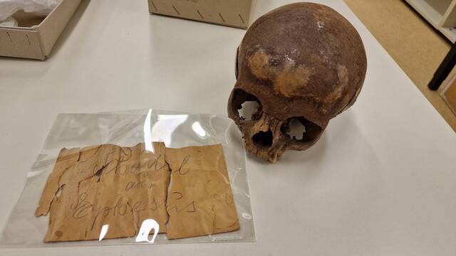 A groundbreaking study has resolved a century-long debate about whether the ancient skull found in an elaborate tomb in Ephesus belonged to Cleopatra’s sister. (Photo credit: Gerhard Weber, University of Vienna)