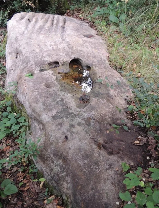 A naturally formed basin carved into a rocky outcrop in the picturesque Noisy-sur-École region near Paris. (Credit: SYGREF, CC BY-SA 4.0)