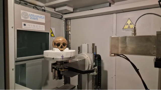 At the University of Vienna, researchers use micro-CT scanning to analyze the skull found in the Octagon building at Ephesus, unlocking new insights. (Image credit: Gerhard Weber / University of Vienna)