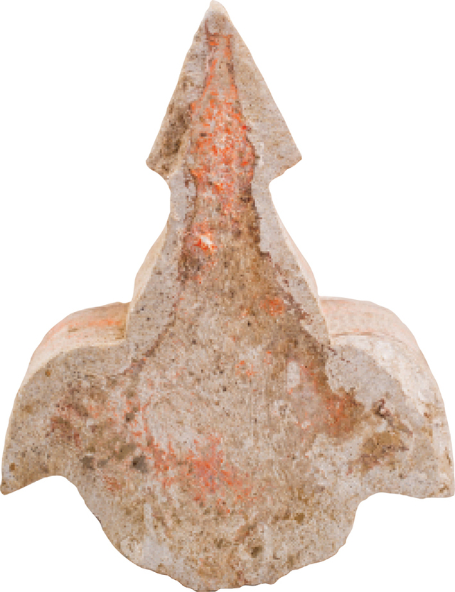 Fragments of decorative building materials uncovered at Turbek reflect the architectural style of Istanbul and other parts of the Ottoman Empire. (Credit: Courtesy Sara Toth Stub)