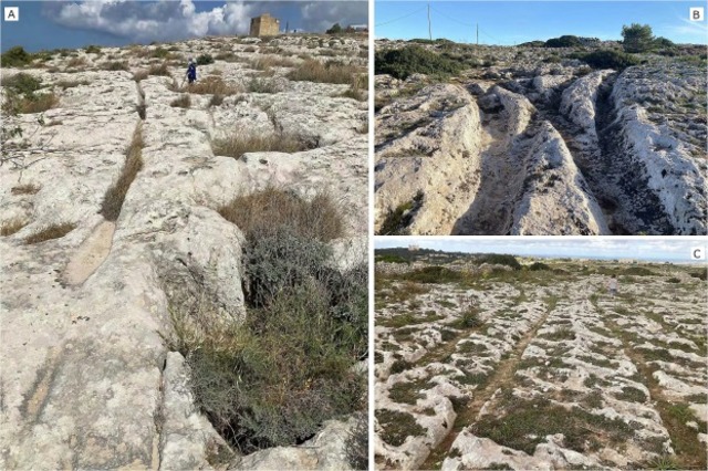 Examples of Malta’s enigmatic cart ruts highlight unique features, including tracks on steep slopes at San Pawl tat-Tarġa, Naxxar, where they dip into natural hollows, a junction of deep, flat-bottomed ruts at Misraħ Għar il-Kbir, and shallow, parallel ruts on level ground at the same site. (Huw S. Groucut/Sciencedirect)