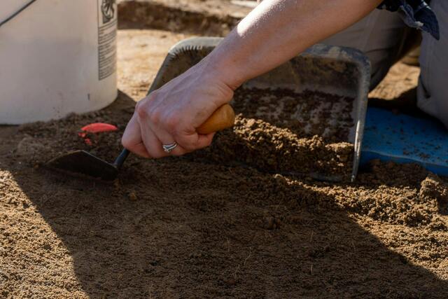 Dr. Mary Elizabeth Fitts finishes a "rough trowel" at the New East site on February 4, 2025, as she and her team search for subtle changes in soil color that may indicate archaeological remains. (Photo by McKenzie Bulris / The Daily Tar Heel)