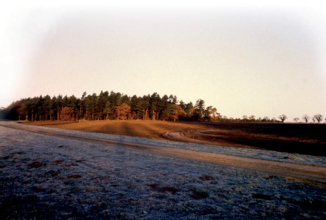 In winter 1990, a view across the so-called “gold field” near Snettisham reveals a landscape that has yielded at least 14 distinct Iron Age metal hoards.
