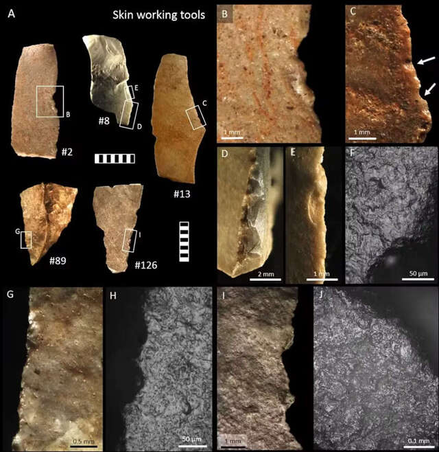 These tools were used by Aboriginal people, demonstrating their craftsmanship and daily activities in this area. Credit: Caroline Spry et al., Australian Archaeology.
