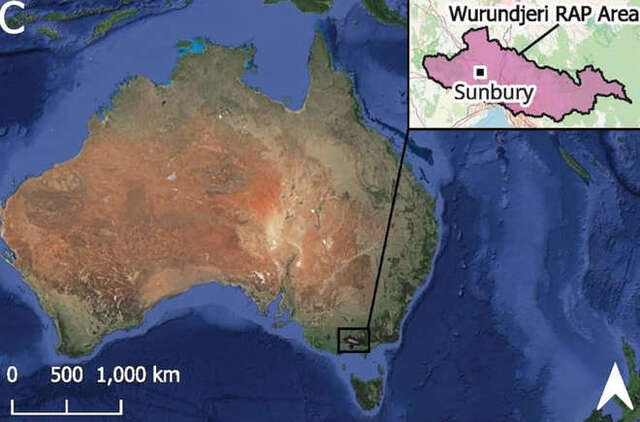 This map places Sunbury within the Wurundjeri RAP area, connecting it to the broader cultural landscape of Australia. Credit: VicMap, 2024.
