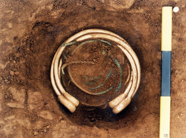 Within Hoard G’s lower pit, the largest and most ornate torc was laid at the top of the deposit, while simpler bronze torcs rested below.