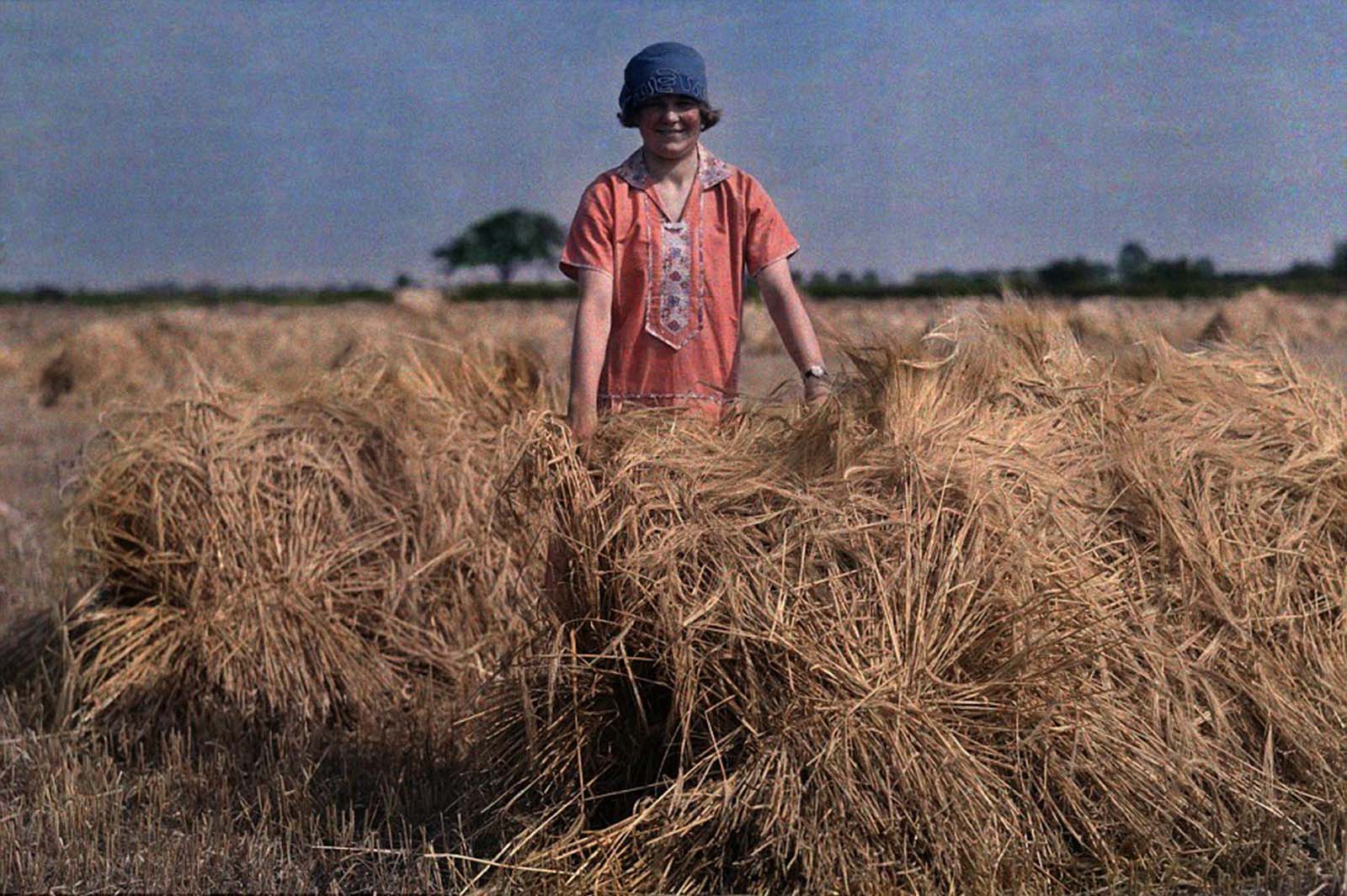 A Young Farmer’s Pride – A girl stands in a Lincolnshire field in 1929, holding freshly harvested barley.