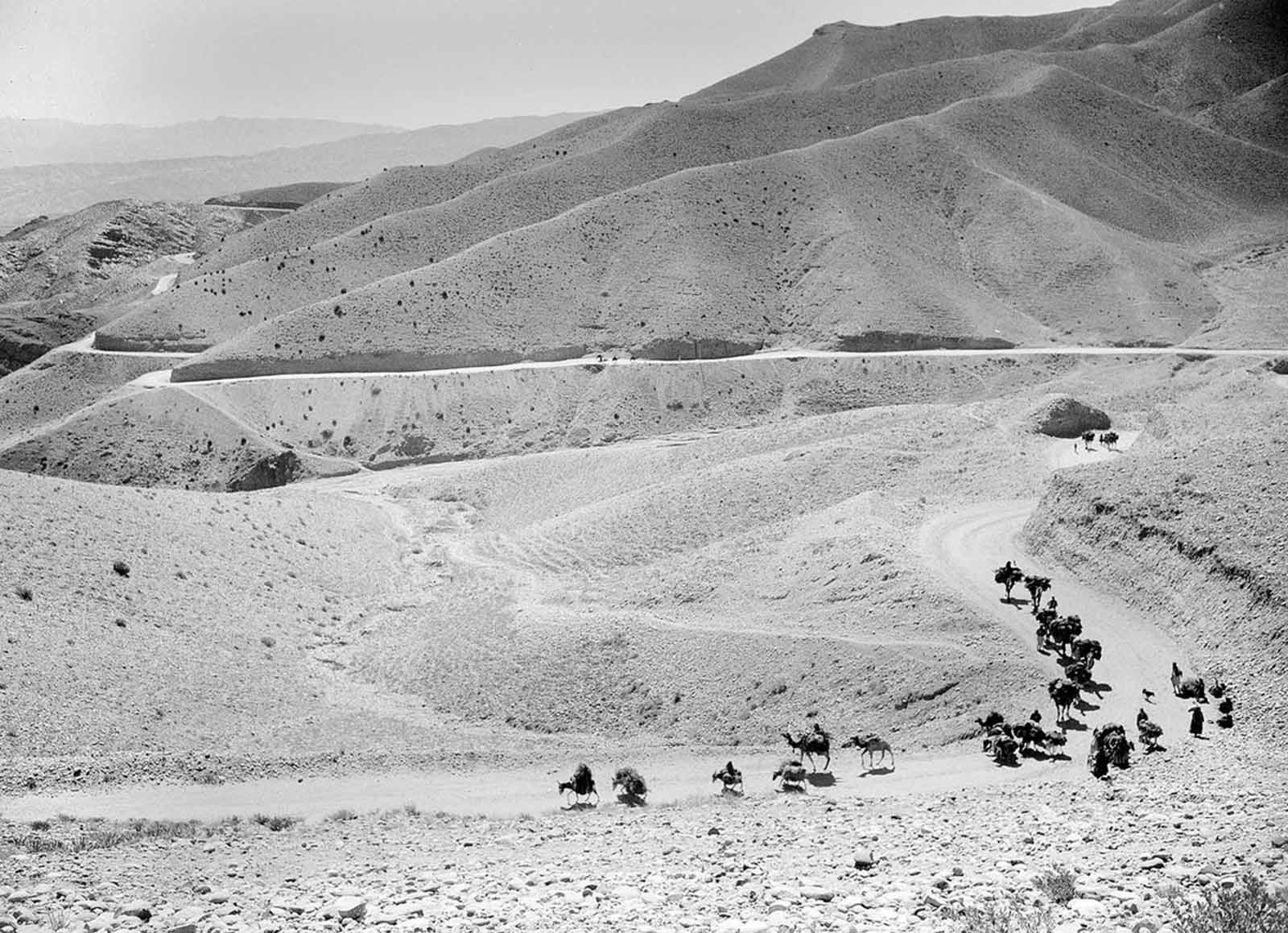 A breathtaking view of Lataband Pass, where a caravan of mules and camels navigates the winding mountain trails, October 8, 1949.