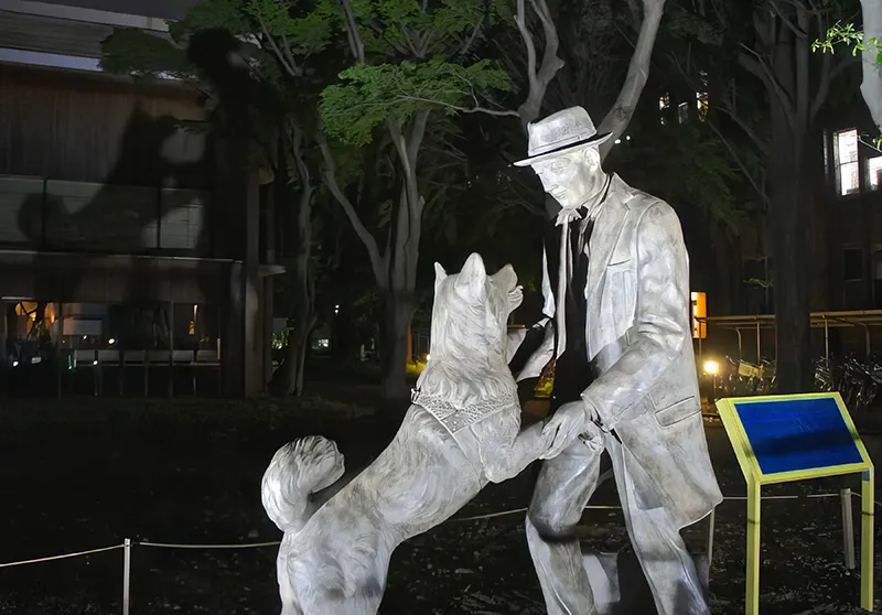 A touching statue at the University of Tokyo’s Faculty of Agriculture, depicting Hachikō joyfully reuniting with Professor Ueno.