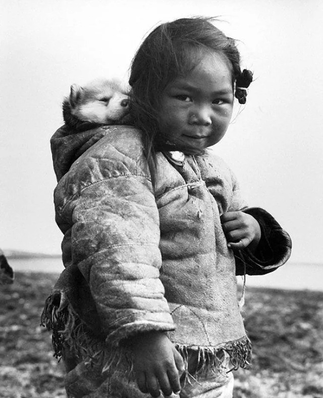 A young Inuit girl, accompanied by a Canadian Eskimo Dog, photographed in 1949.