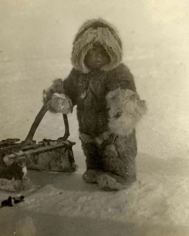 A young Inuk toddler, bundled in furs and gripping a sled, likely photographed during Knud Rasmussen’s Fifth Thule Expedition in Greenland around 1921.