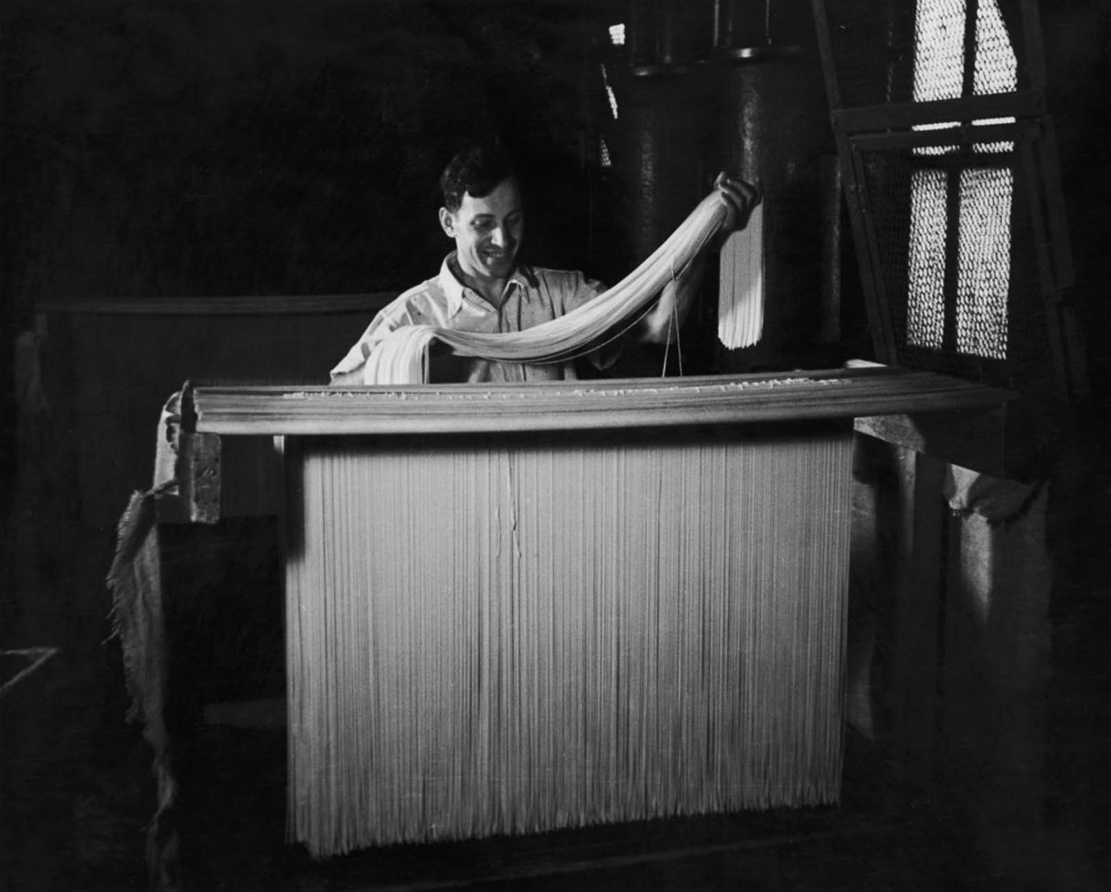 After harvesting durum wheat to make flour, the real magic of pasta-making begins. 1955.