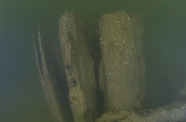 Dendrochronology, or tree-ring dating, allowed archaeologists to pinpoint the exact year the timber used to build Wreck 5 was felled