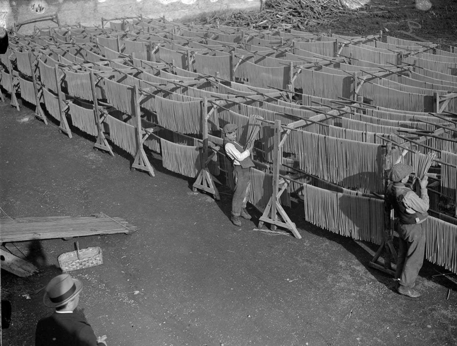 Golden strands of pasta drying under factory conditions, capturing the essence of Italian tradition. 1929.
