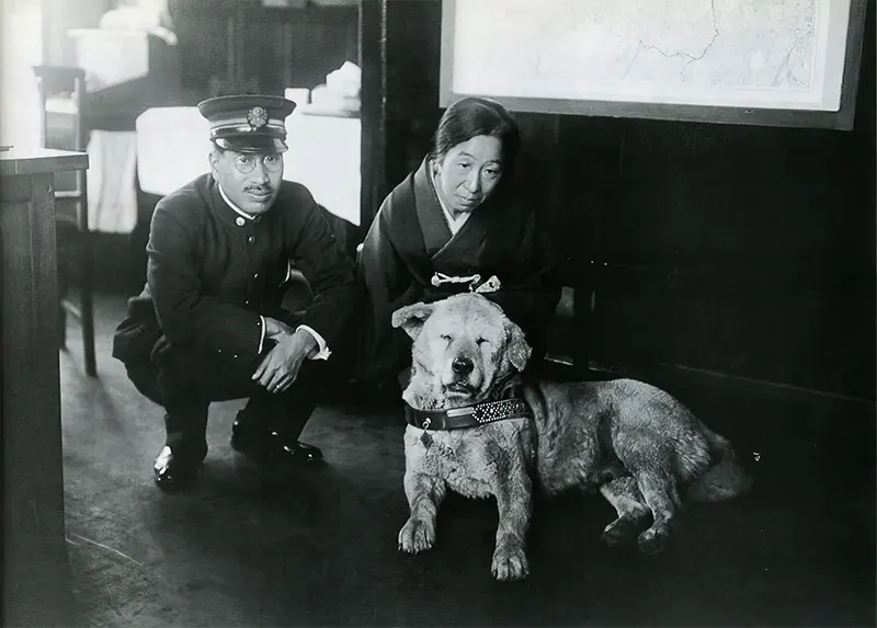 Hachikō patiently waits at Shibuya Station, circa 1933—a symbol of unwavering devotion.