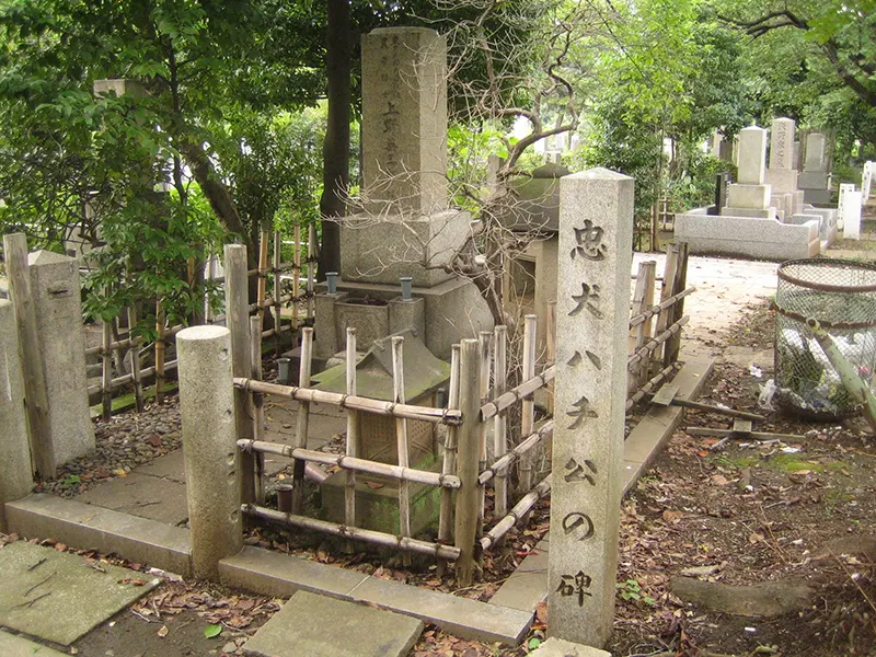 Hachikō rests eternally beside Professor Ueno at Aoyama Cemetery, Minato, Tokyo—a bond that transcends time.