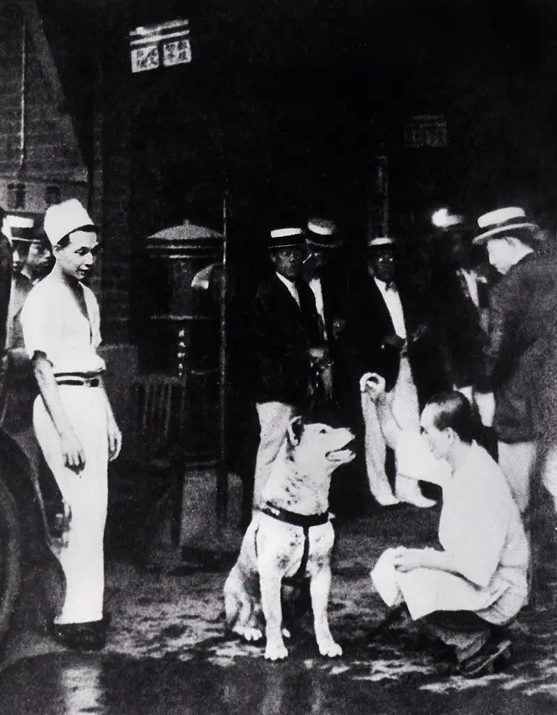 Kind strangers brought food for Hachikō, honoring his loyalty with small acts of kindness.
