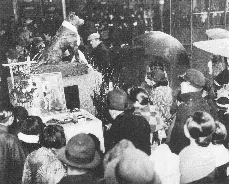 March 8, 1936—marking the first anniversary of Hachikō’s passing, as the nation mourned its most faithful friend.