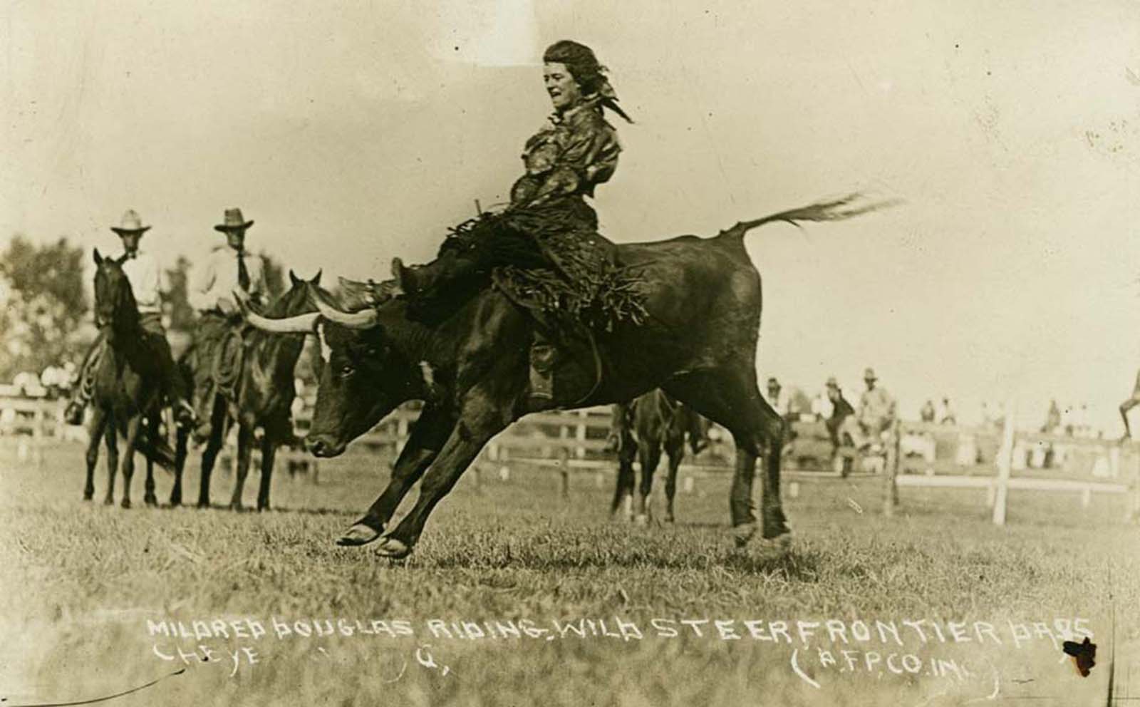 Master of the rodeo – Mildred Douglas rides a wild steer at a Cheyenne rodeo, Wyoming, circa 1917.