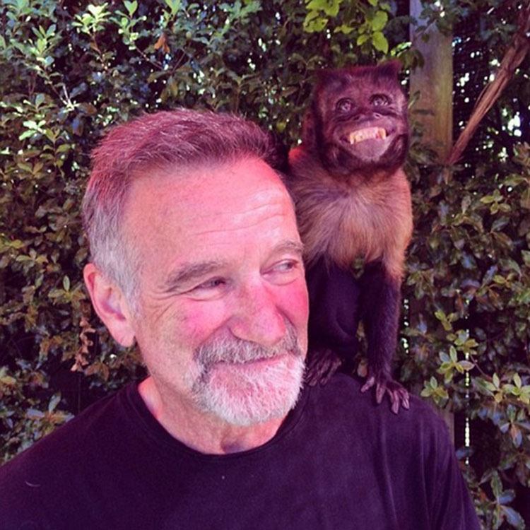 Robin Williams: A Smile Before the End