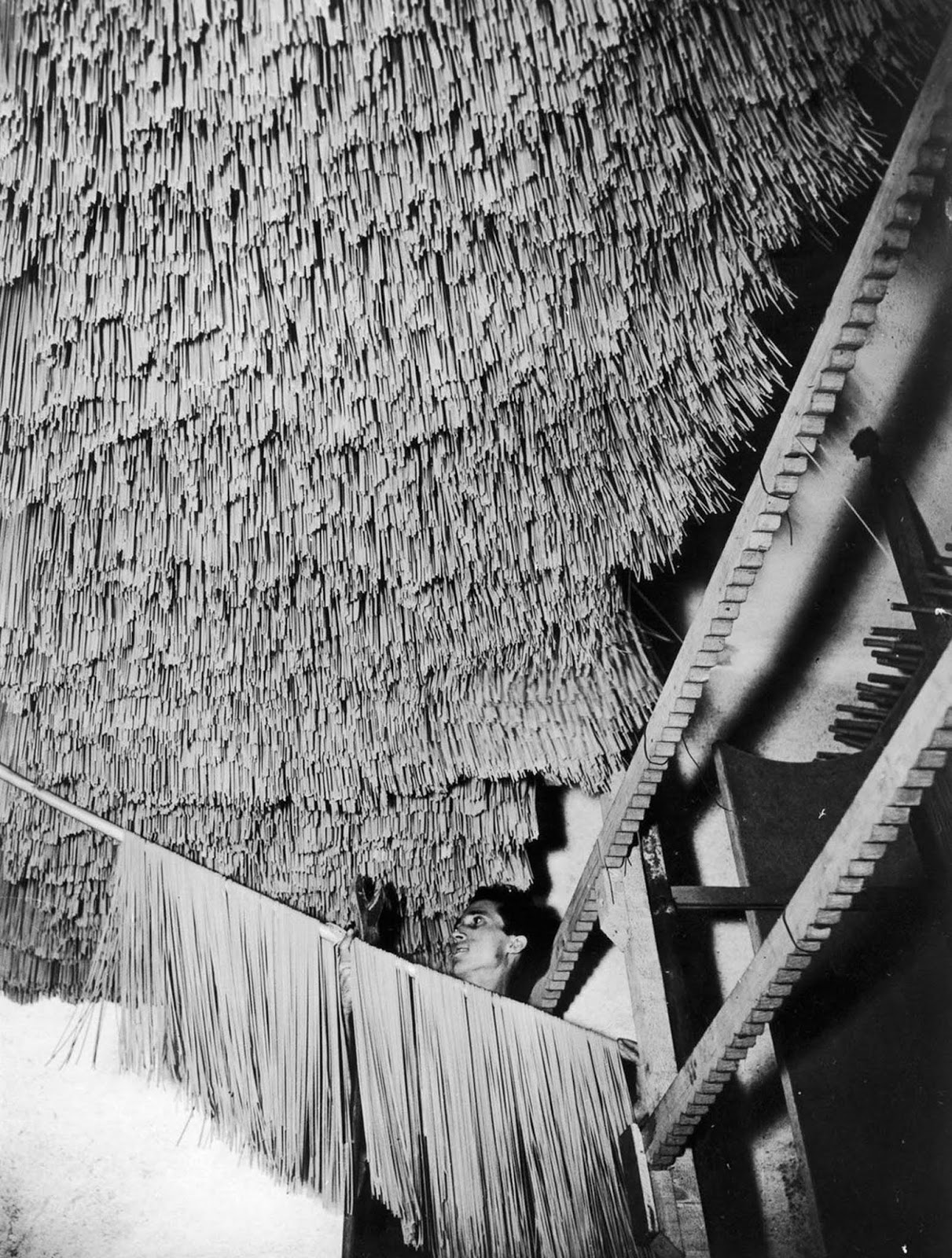 Rows of spaghetti hanging in a drying chamber at an Italian pasta factory. Date unknown.