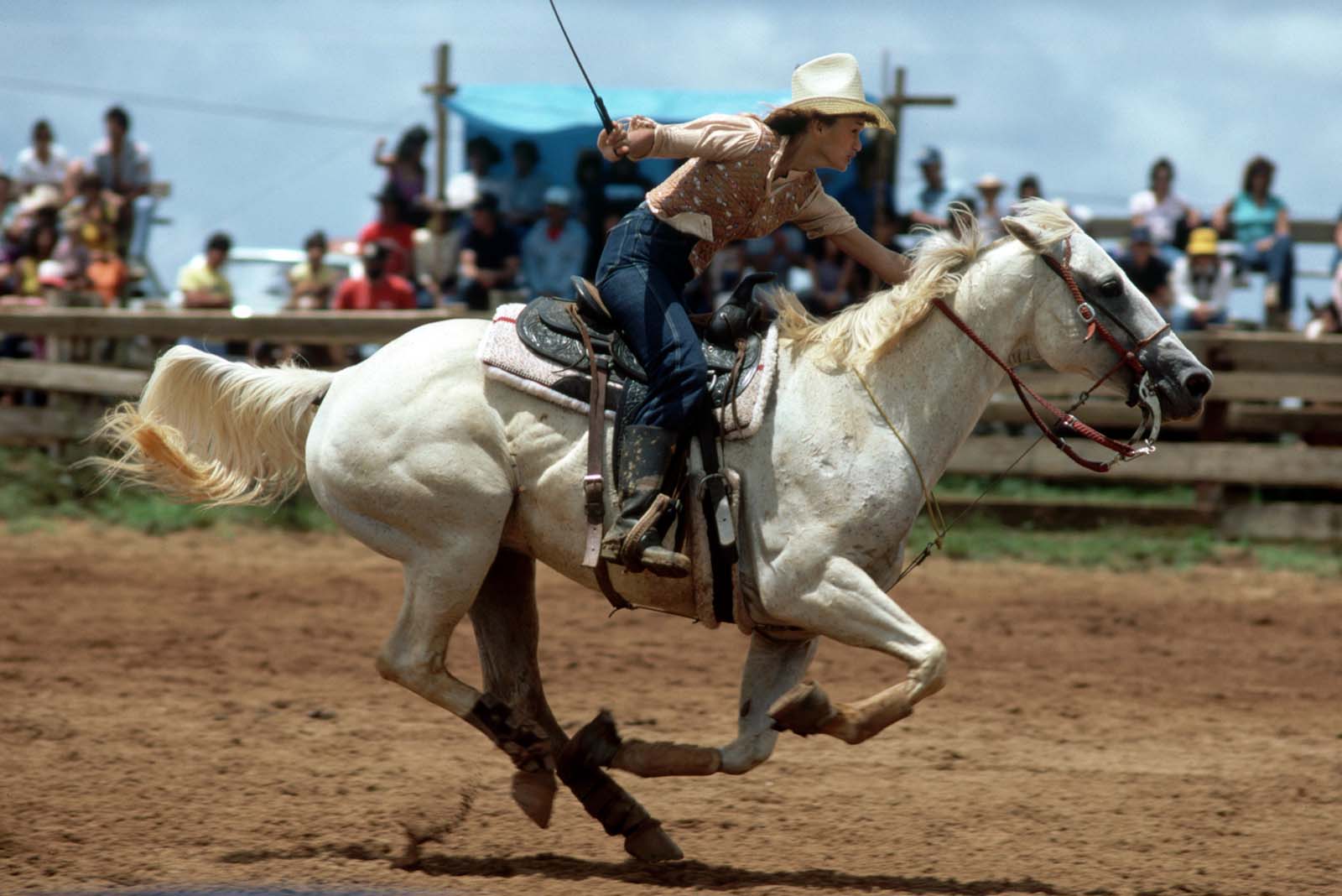 Speed and power – A cowgirl pushes her horse to full gallop during the annual rodeo in Princeville, Kauai, Hawaii.