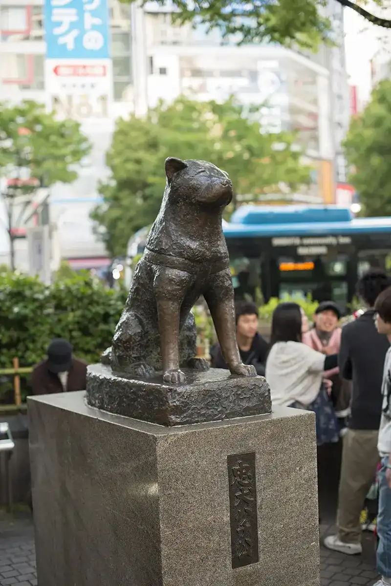 The iconic Hachikō statue, as seen in 2013, continues to be a beloved landmark in Shibuya.