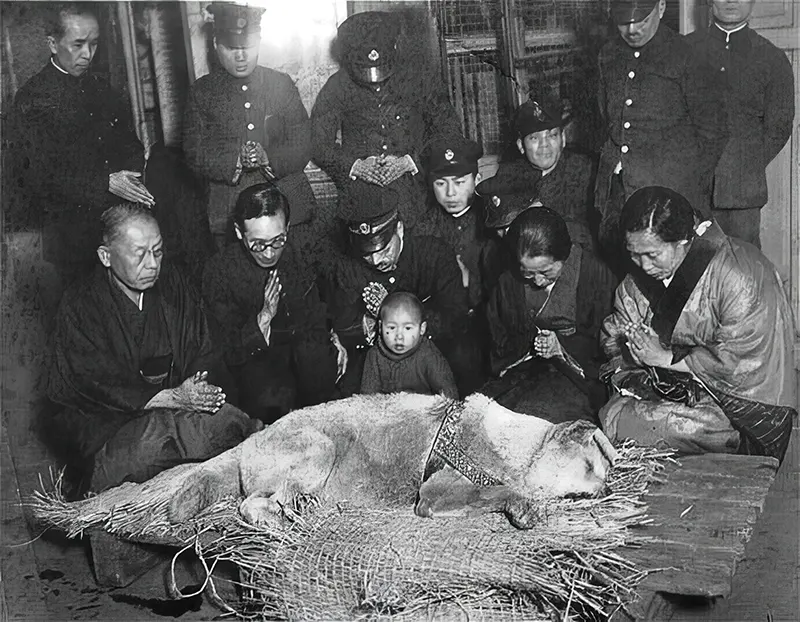 The last known photograph of Hachikō, taken on March 8, 1935, alongside Yaeko Ueno (front row, second from right) and mourning station staff in Tokyo.