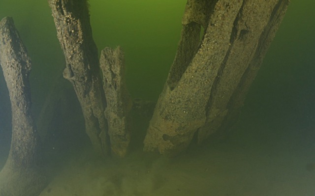 Uncovering Wreck 5: The Oldest Carvel-Built Ship in the Nordic Region