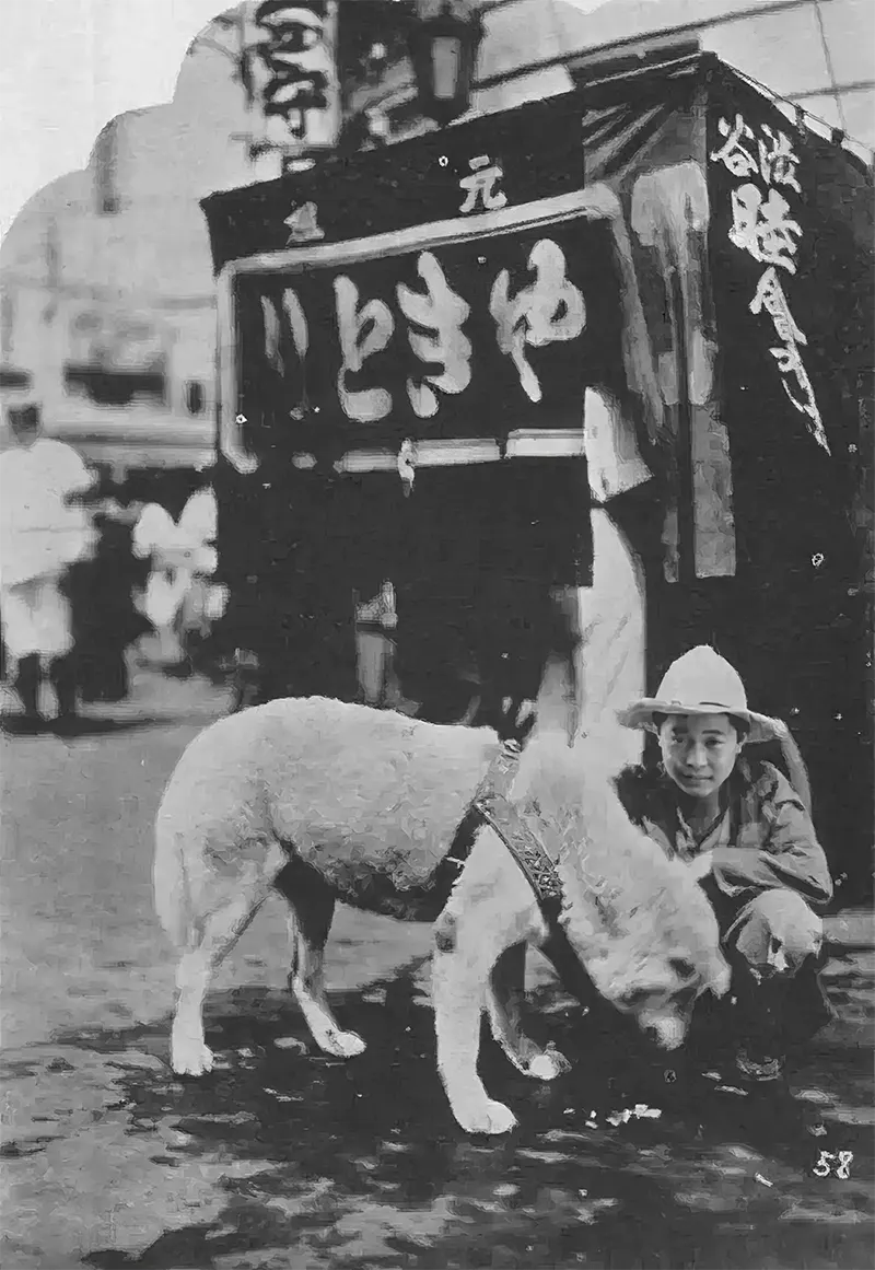 Visitors from across Japan traveled just to catch a glimpse of the devoted Hachikō.