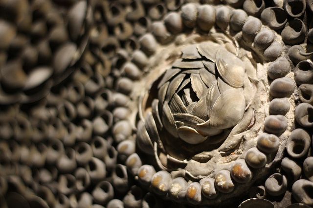 A detailed view of a beautifully crafted shell spiral design, a highlight of the Grotto’s artistry.
