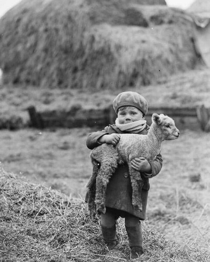 A young boy cradling a newborn lamb in Scotland, 1932.