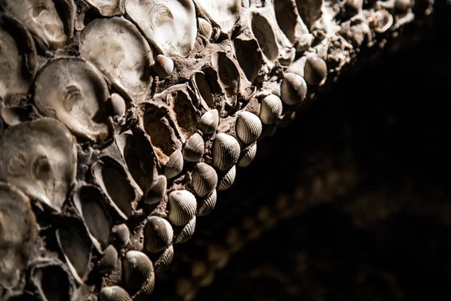 Detailed view of shells covering the curved, gothic-style walls inside the grotto.